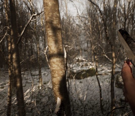 Abandoned donne des nouvelles sur sa démo, BB Game Studios recadre ses détracteurs Blue Box Game Studios calme ses détracteurs pour l'arrivée d'Abandoned