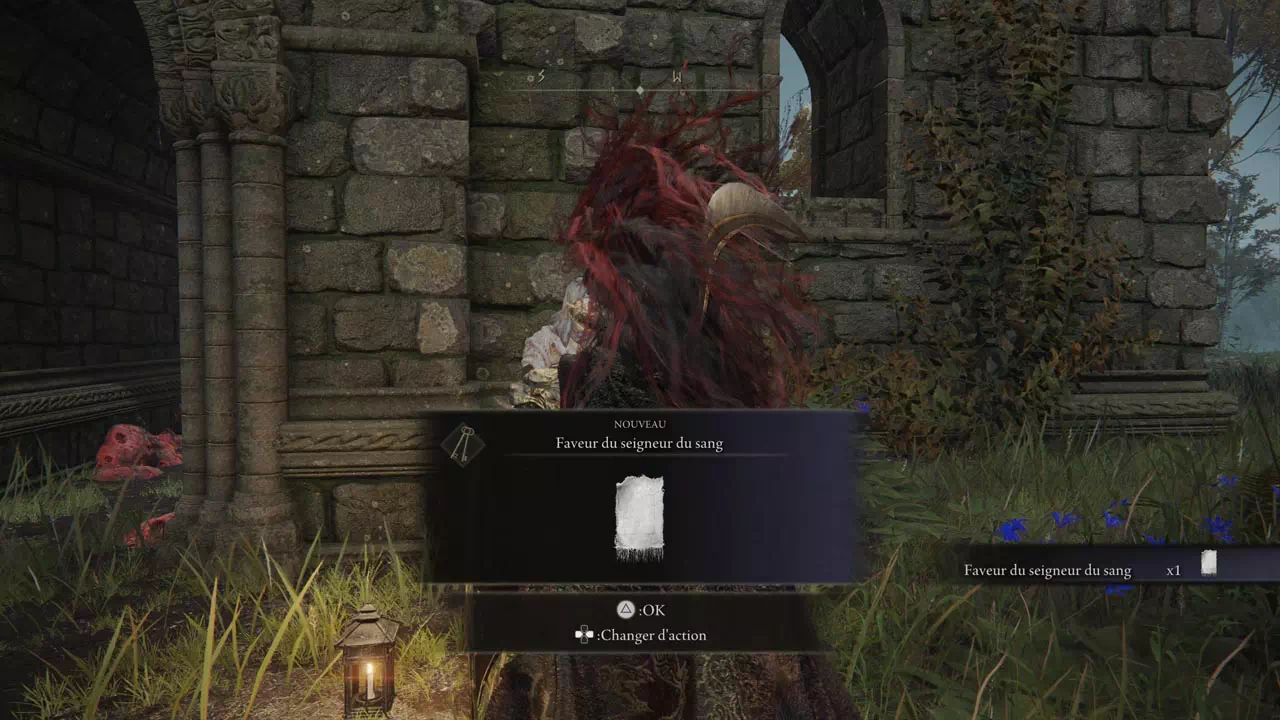 Faveur Du Seigneur Du Sang Elden Ring