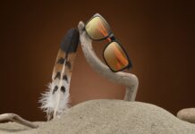 TEST : Gunnar Intercept Assassin’s Creed : Mirage Edition Intercept Assassin’s Creed : Mirage Edition