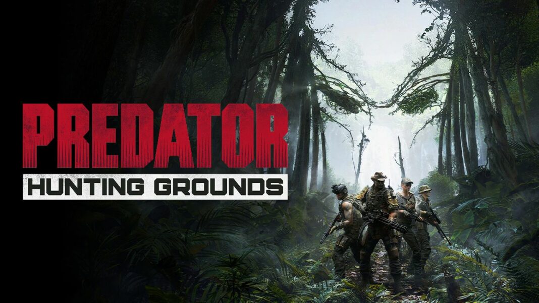 Predator Hunting Grounds