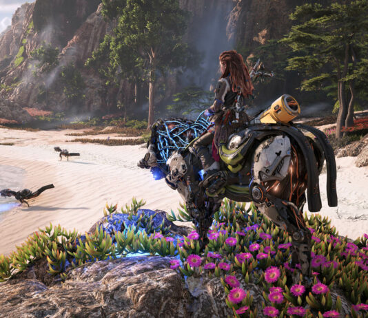 Horizon Zero Dawn : Le prix du jeu sur le Playstation Store a fortement augmenté
