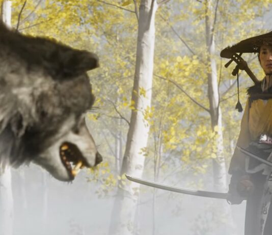 Ghost of Yotei supprime les postures de combat La protagoniste du prochain jeu PS5 de Sucker Punch