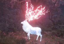 Assassin’s Creed Shadows : Voici ou et comment trouver les Sumi-e