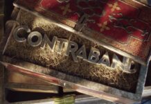 Contraband : Microsoft stoppe le développement du jeu coopératif d’Avalanche Studios