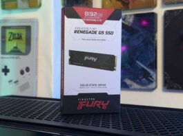 TEST – Kingston Fury Renegade G5 8To
